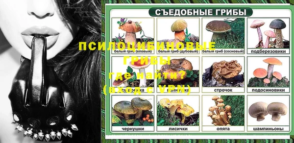кокс Богородицк