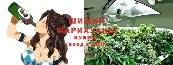 mix Богородск