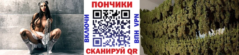 как найти наркотики  Борзя  Каннабис OG Kush 